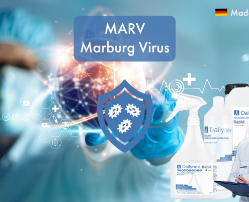 HOCL contre le virus de Marburg, désinfectant contre les virus enveloppés Virus de Marburg